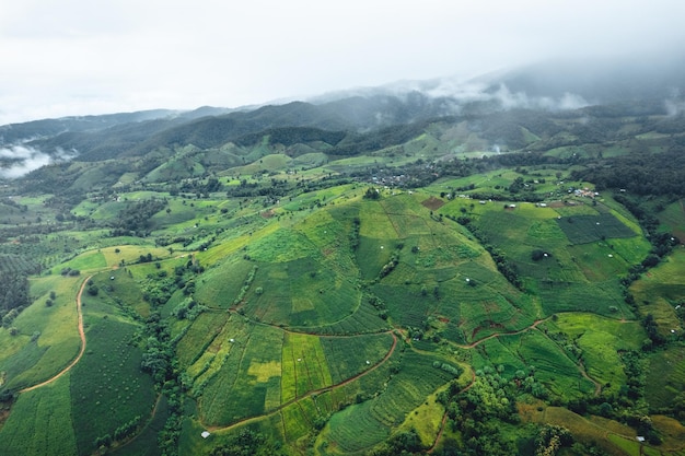 Hochwinkelansicht Grünes Reisfeld auf Terrassen in Chiangmai