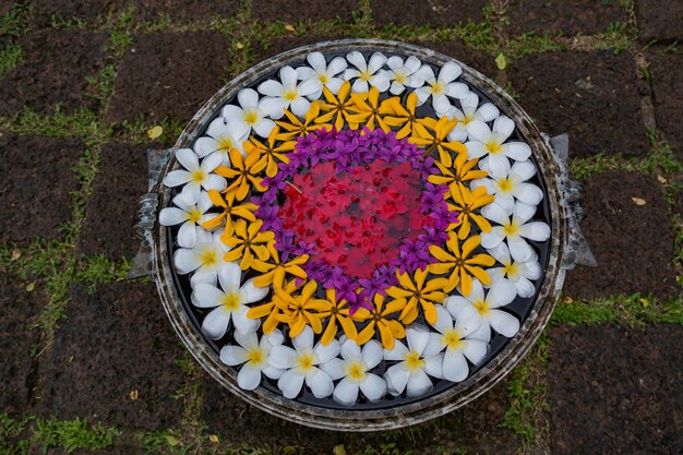 Foto hochwinkelansicht mehrfarbiger blumen auf einer platte