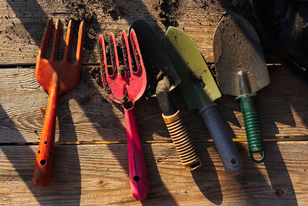 Hochwinkelansicht verschiedener Gartenwerkzeuge auf dem Tisch