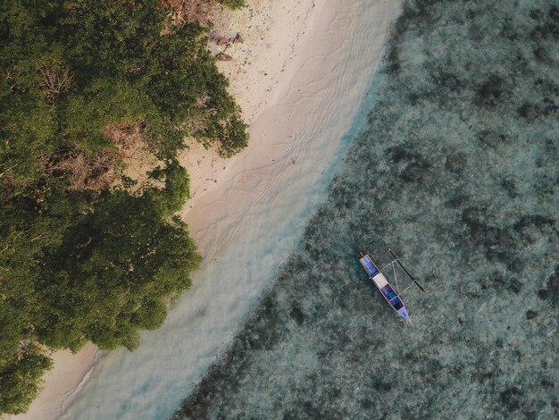 Foto hochwinkelansicht von bäumen am strand