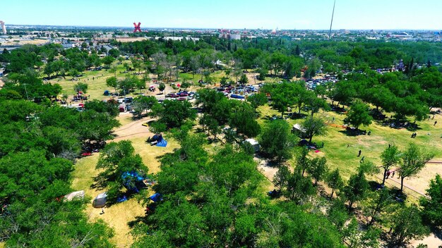 Foto hochwinkelansicht von bäumen auf dem feld gegen den himmel