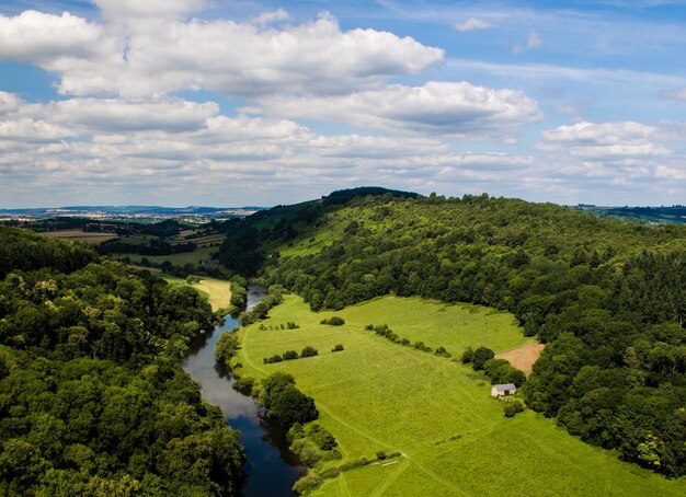 Hochwinkelansicht von Bäumen auf dem Feld gegen den Himmel