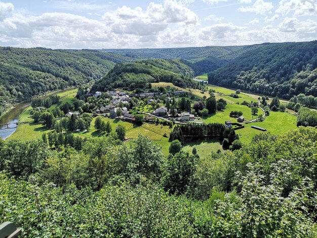 Foto hochwinkelansicht von bäumen auf der landschaft gegen den himmel