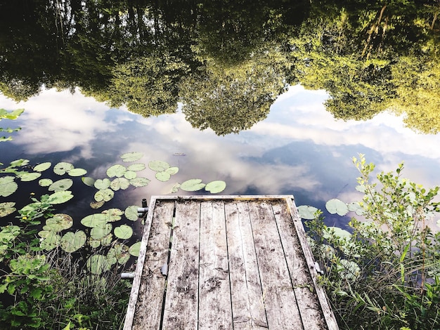 Foto hochwinkelansicht von bäumen, die sich auf dem see spiegeln