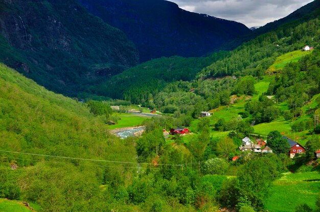 Foto hochwinkelansicht von bäumen in der landschaft