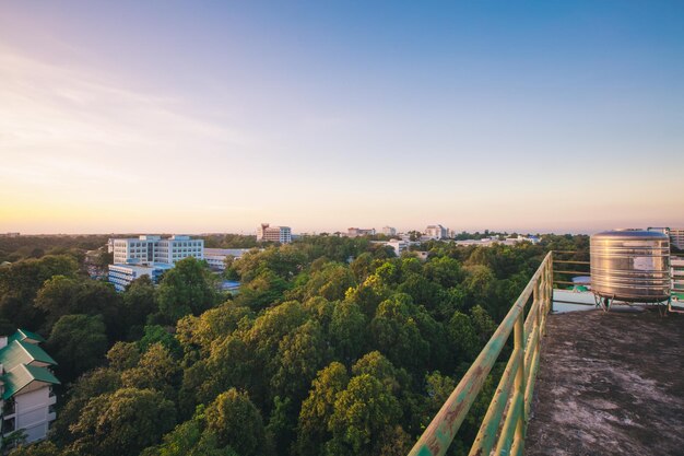 Foto hochwinkelansicht von bäumen und gebäuden gegen den himmel bei sonnenuntergang