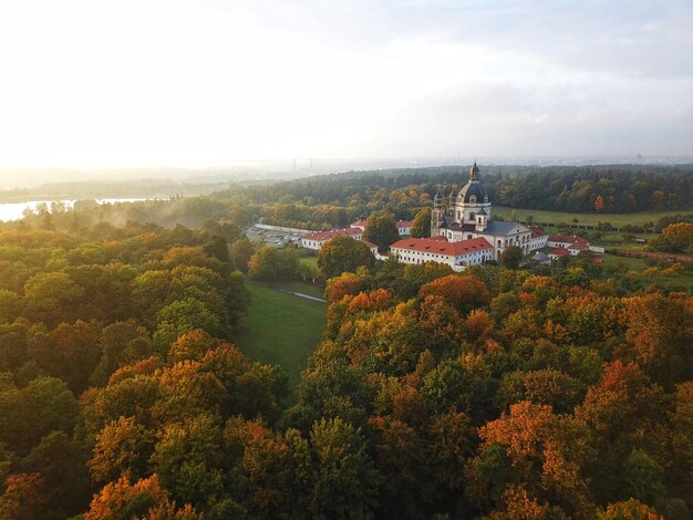 Foto hochwinkelansicht von bäumen und gebäuden gegen den himmel