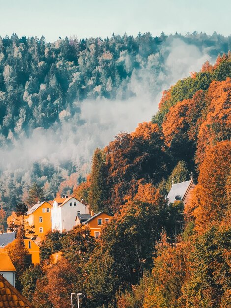 Foto hochwinkelansicht von bäumen und gebäuden gegen den himmel