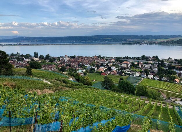 Hochwinkelansicht von Bäumen und Gebäuden gegen den Himmel