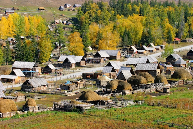 Foto hochwinkelansicht von bäumen und häusern im herbst