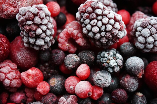 Foto hochwinkelansicht von beeren