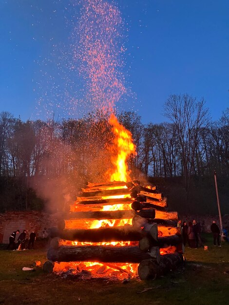 Foto hochwinkelansicht von beleuchteten stringlichtern