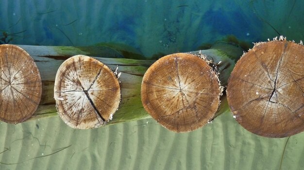 Foto hochwinkelansicht von blättern auf einem holztisch