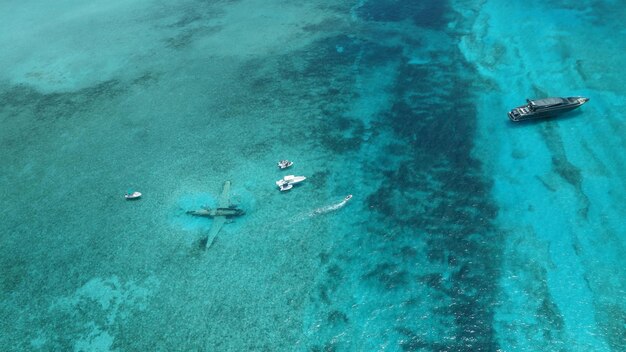 Hochwinkelansicht von Blau, das auf dem Wasser schwimmt