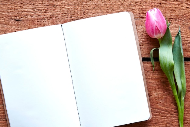 Foto hochwinkelansicht von blume und offenem buch auf dem tisch