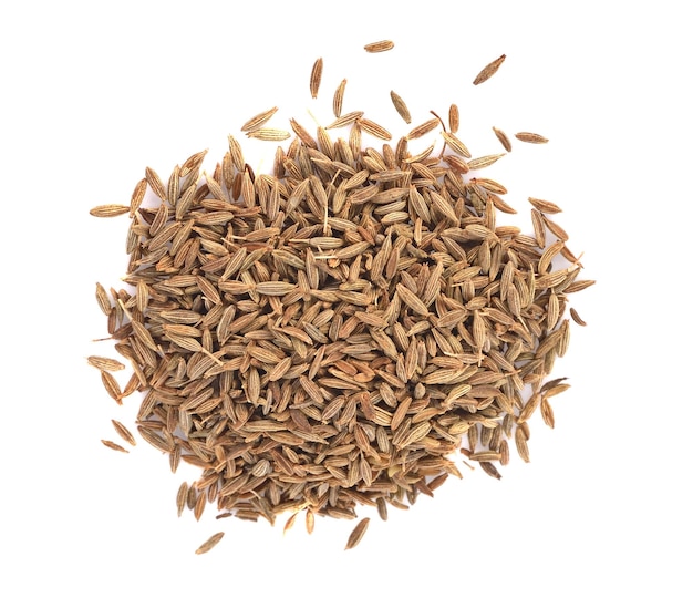 Hochwinkelansicht von Brot vor weißem Hintergrund