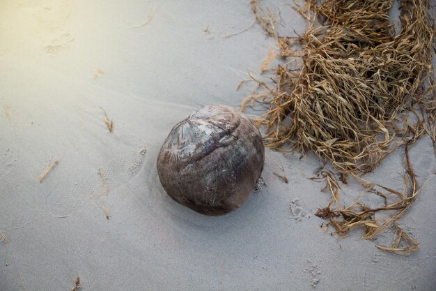 Foto hochwinkelansicht von eiern im nest auf dem tisch