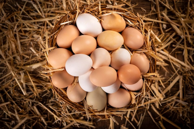 Hochwinkelansicht von Eiern im Nest