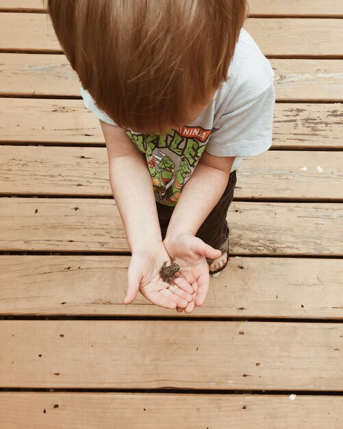 Foto hochwinkelansicht von einem jungen, der einen frosch hält