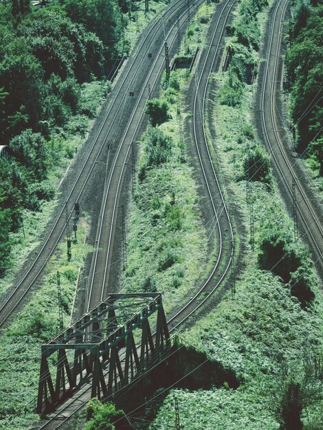 Foto hochwinkelansicht von eisenbahnschienen inmitten von bäumen