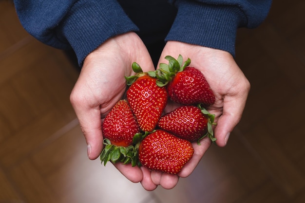 Hochwinkelansicht von Erdbeeren in der Hand