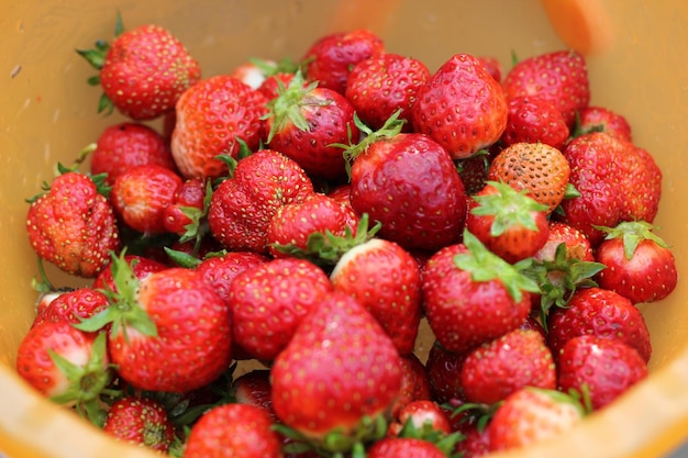 Hochwinkelansicht von Erdbeeren in einer Schüssel