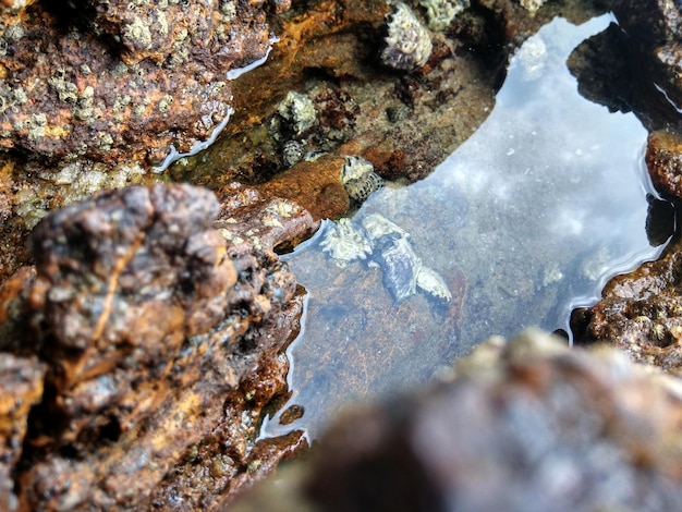 Hochwinkelansicht von Felsen im Meer