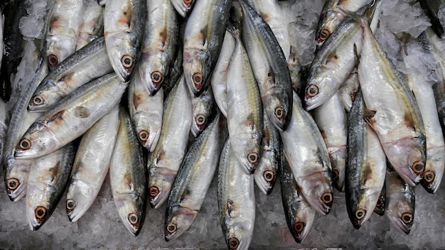 Hochwinkelansicht von Fisch zum Verkauf am Marktstand