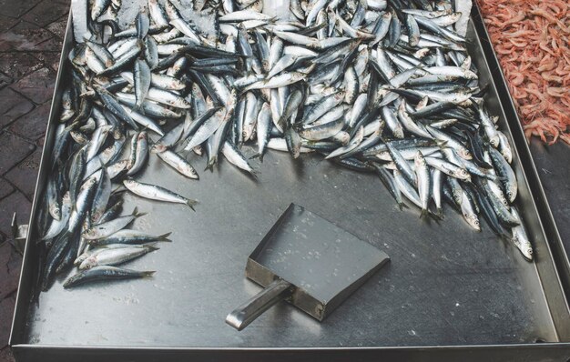 Foto hochwinkelansicht von fisch zum verkauf auf dem markt