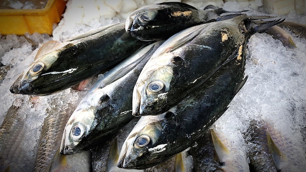 Hochwinkelansicht von Fisch zum Verkauf auf dem Markt