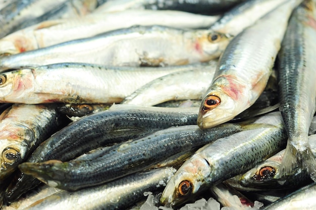 Hochwinkelansicht von Fischen zum Verkauf auf dem Markt.