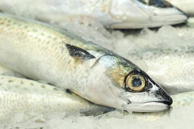 Hochwinkelansicht von Fischen zum Verkauf auf dem Markt.