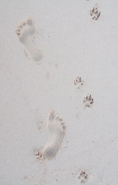 Hochwinkelansicht von Fußabdrücken im Sand