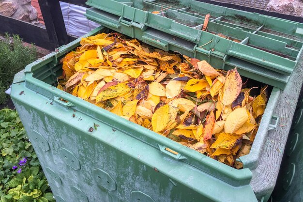 Hochwinkelansicht von Herbstblättern auf Metall