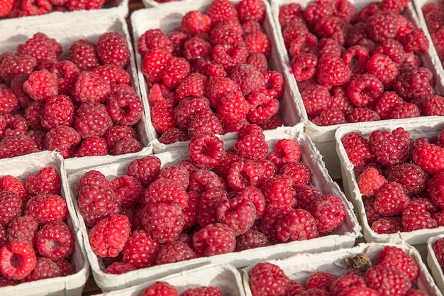 Hochwinkelansicht von Himbeeren in Behältern zum Verkauf auf dem Markt