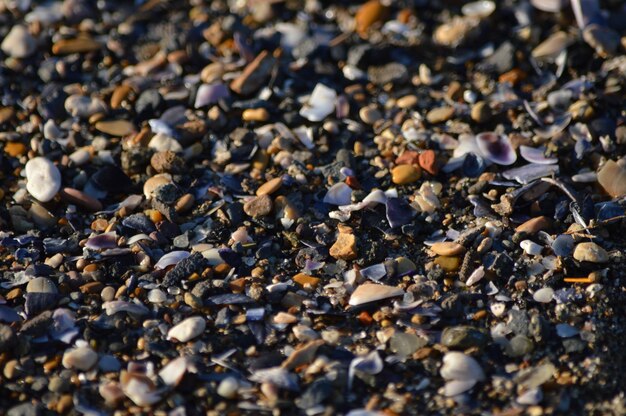 Hochwinkelansicht von Kieselsteinen am Strand