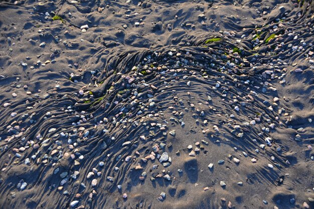 Hochwinkelansicht von Krabben am Strand