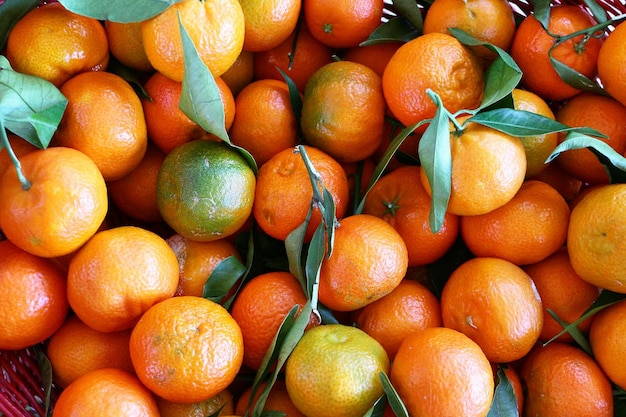 Hochwinkelansicht von Orangen zum Verkauf auf einem Marktstand