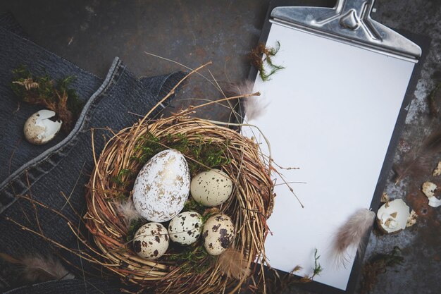 Hochwinkelansicht von Ostereiern von Clipboard im Nest