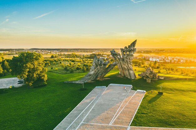 Foto hochwinkelansicht von pflanzen auf dem feld gegen den himmel bei sonnenuntergang