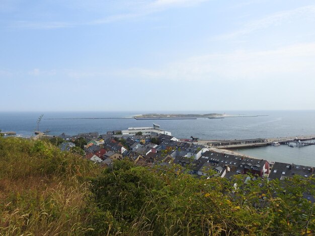 Foto hochwinkelansicht von pflanzen und meer gegen den himmel