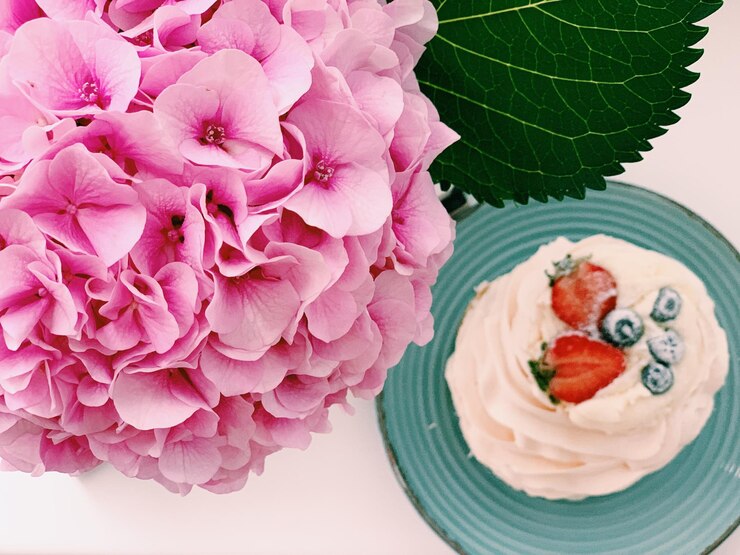 Foto hochwinkelansicht von rosa rosen auf der pflanze
