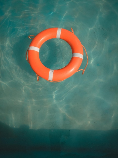 Hochwinkelansicht von Rot, das im Schwimmbad schwimmt