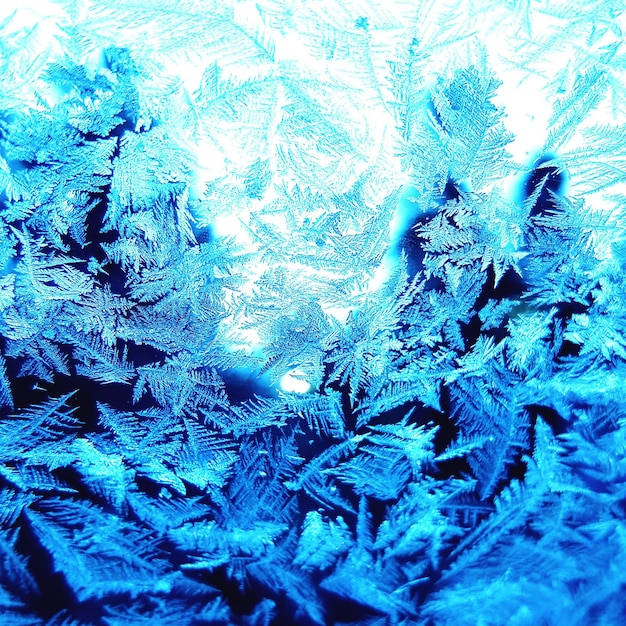Foto hochwinkelansicht von schneeflocken auf gefrorenem wasser
