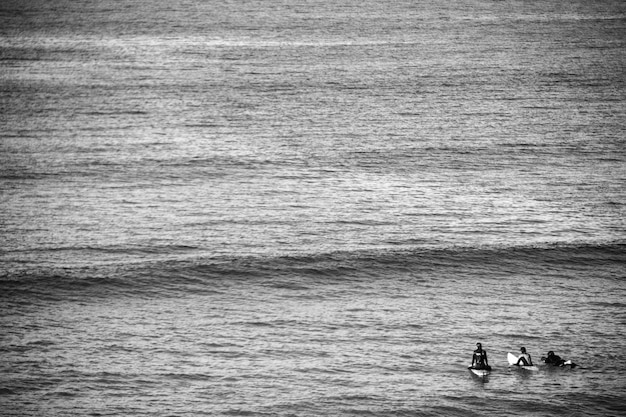 Hochwinkelansicht von Surfern, die im Meer surfen