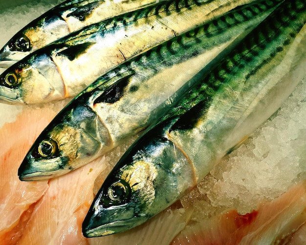 Hochwinkelansicht von toten Fischen auf dem Tisch