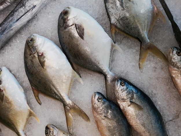 Hochwinkelansicht von verkauften Fischen