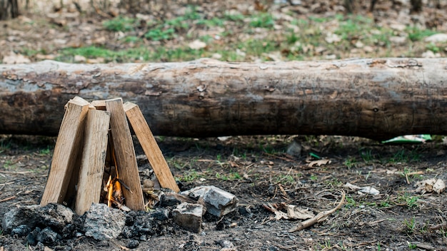 Foto hochwinkellagerfeuer im freien