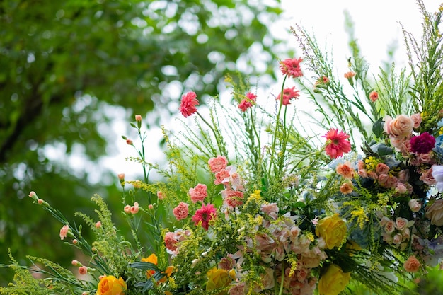 Hochzeit Blume Hintergrund Hintergrund bunter Hintergrund frische Rose Blumenstrauß