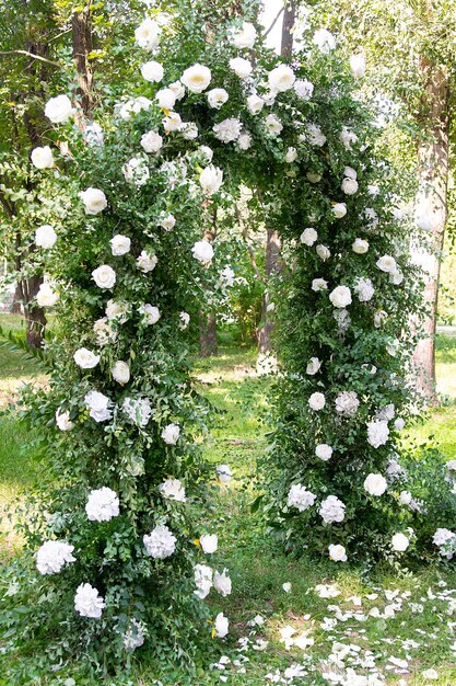 Hochzeitsdekorativer Bogen mit weißen Blumen